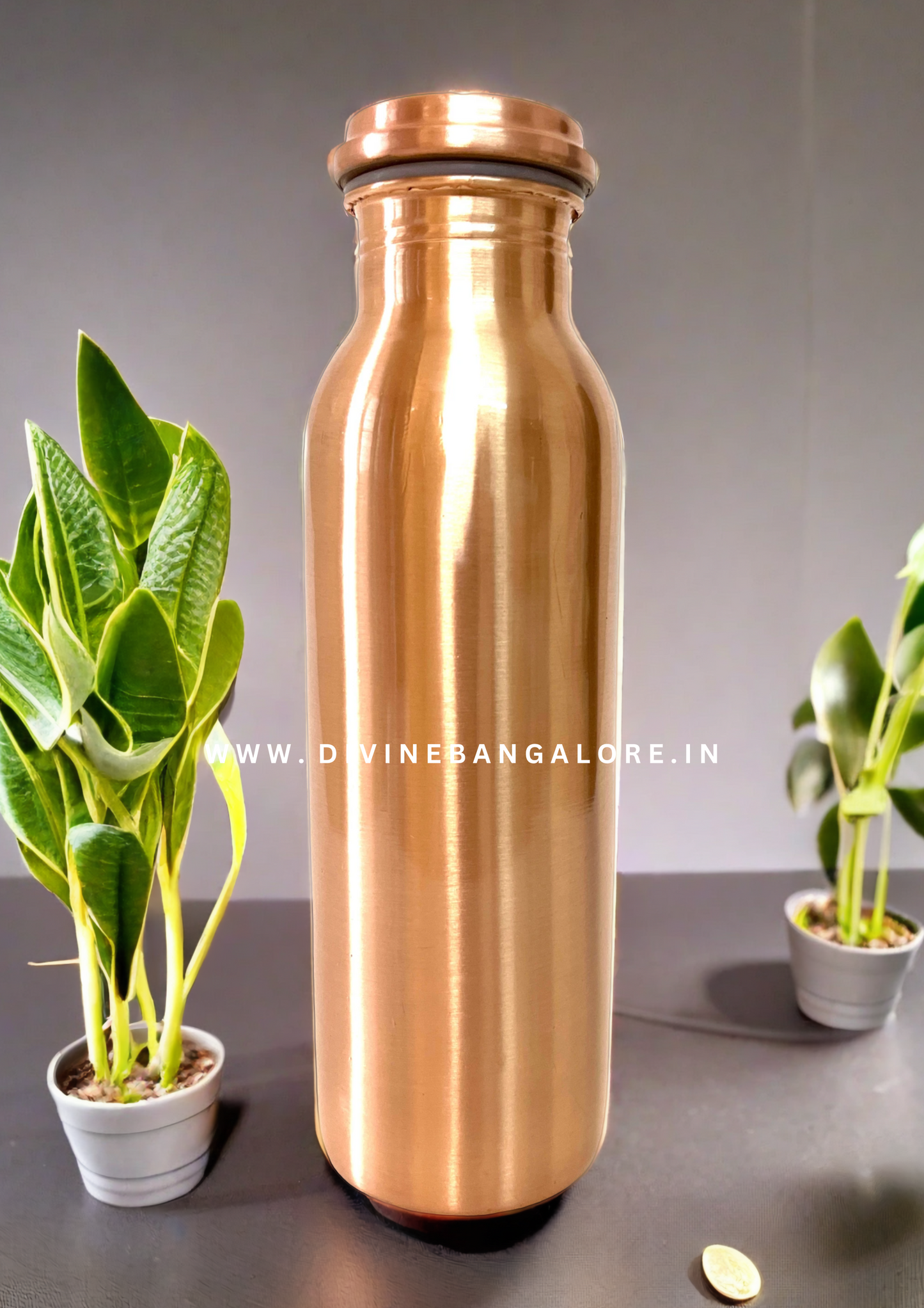 100% Pure Copper Water Bottle